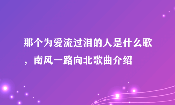 那个为爱流过泪的人是什么歌，南风一路向北歌曲介绍