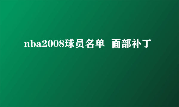 nba2008球员名单  面部补丁