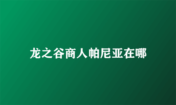 龙之谷商人帕尼亚在哪