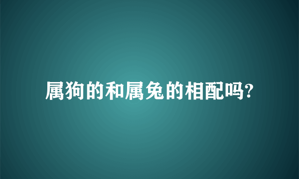 属狗的和属兔的相配吗?