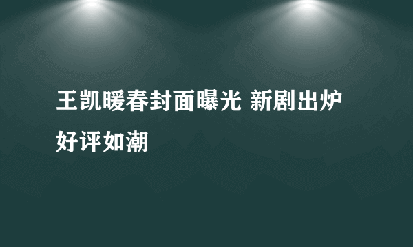 王凯暖春封面曝光 新剧出炉好评如潮