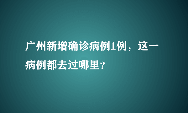 广州新增确诊病例1例，这一病例都去过哪里？