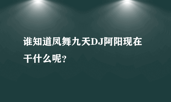 谁知道凤舞九天DJ阿阳现在干什么呢？