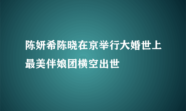 陈妍希陈晓在京举行大婚世上最美伴娘团横空出世