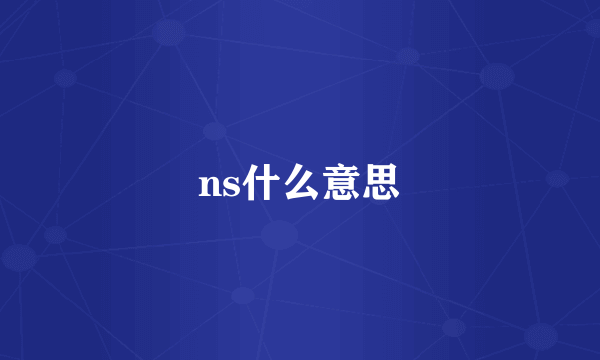 ns什么意思