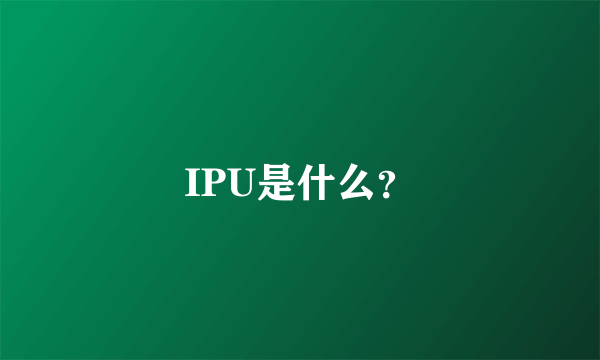 IPU是什么？