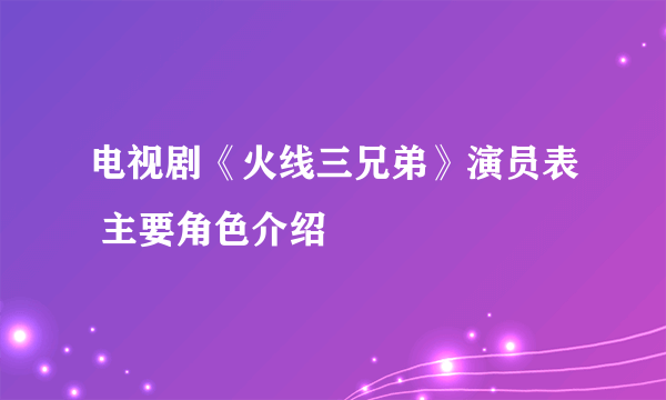 电视剧《火线三兄弟》演员表 主要角色介绍