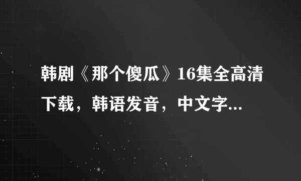 韩剧《那个傻瓜》16集全高清下载，韩语发音，中文字幕，收藏专用 谢谢啦~~~~