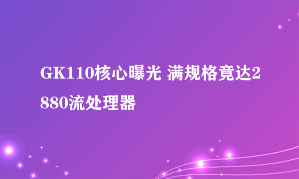 GK110核心曝光 满规格竟达2880流处理器