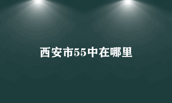 西安市55中在哪里