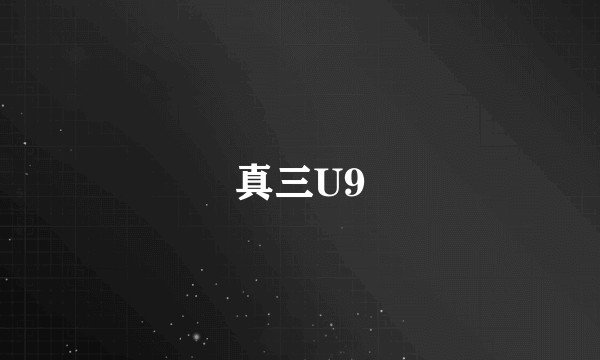 真三U9