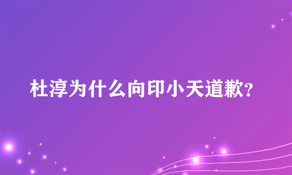 杜淳为什么向印小天道歉？