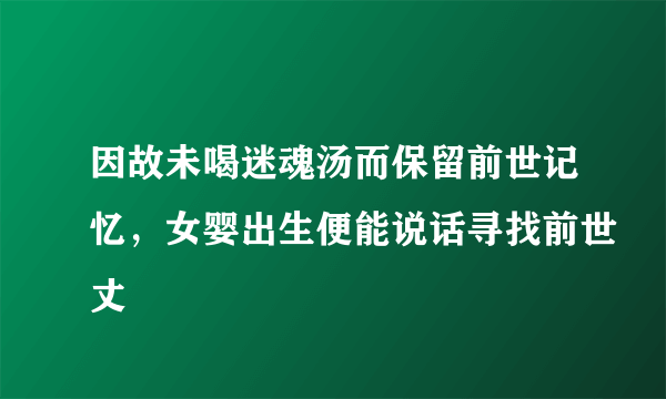 因故未喝迷魂汤而保留前世记忆，女婴出生便能说话寻找前世丈