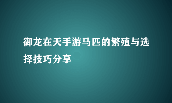 御龙在天手游马匹的繁殖与选择技巧分享