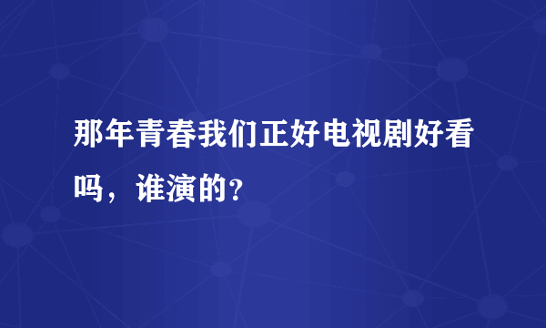 那年青春我们正好电视剧好看吗，谁演的？