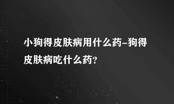 小狗得皮肤病用什么药-狗得皮肤病吃什么药？