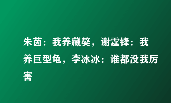 朱茵：我养藏獒，谢霆锋：我养巨型龟，李冰冰：谁都没我厉害