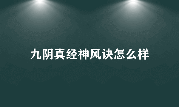 九阴真经神风诀怎么样