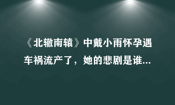 《北辙南辕》中戴小雨怀孕遇车祸流产了，她的悲剧是谁造成的？