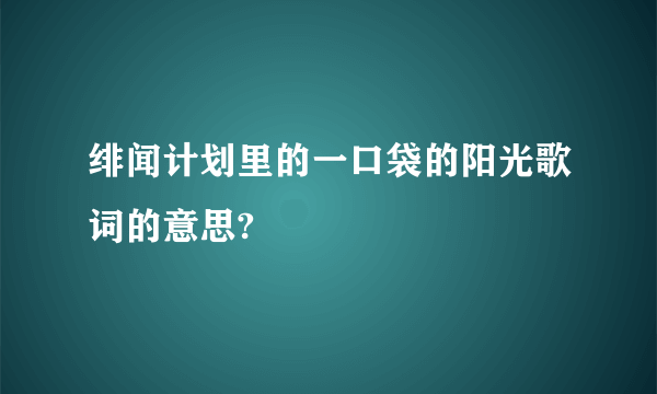 绯闻计划里的一口袋的阳光歌词的意思?