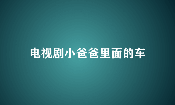 电视剧小爸爸里面的车