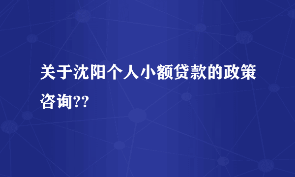 关于沈阳个人小额贷款的政策咨询??