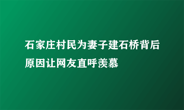 石家庄村民为妻子建石桥背后原因让网友直呼羡慕