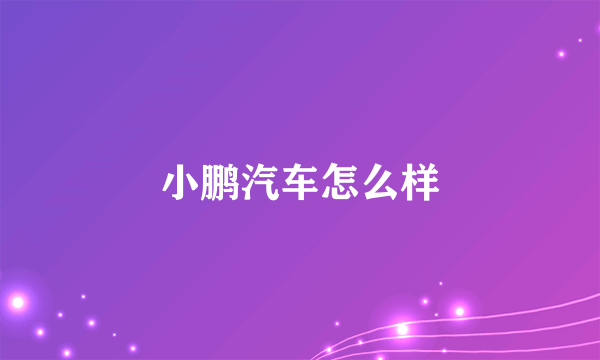 小鹏汽车怎么样