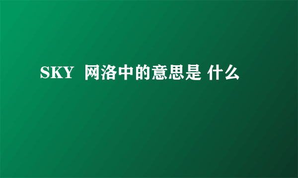 SKY  网洛中的意思是 什么