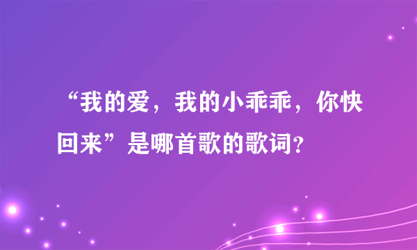 “我的爱，我的小乖乖，你快回来”是哪首歌的歌词？