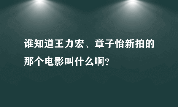 谁知道王力宏、章子怡新拍的那个电影叫什么啊？