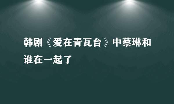 韩剧《爱在青瓦台》中蔡琳和谁在一起了