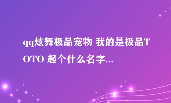 qq炫舞极品宠物 我的是极品TOTO 起个什么名字？   夜魅杀.魄冰 这个名字怎么样？