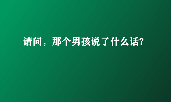 请问，那个男孩说了什么话?