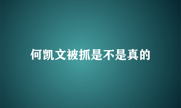 何凯文被抓是不是真的