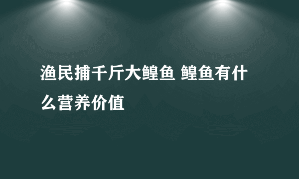 渔民捕千斤大鳇鱼 鳇鱼有什么营养价值