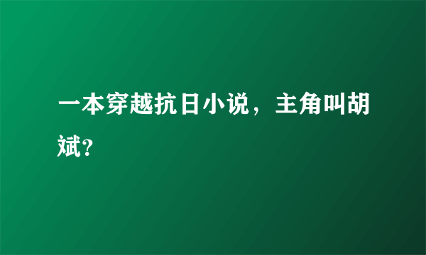 一本穿越抗日小说，主角叫胡斌？