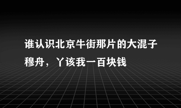 谁认识北京牛街那片的大混子穆舟，丫该我一百块钱