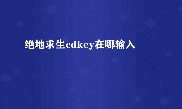 绝地求生cdkey在哪输入