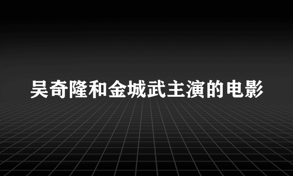 吴奇隆和金城武主演的电影