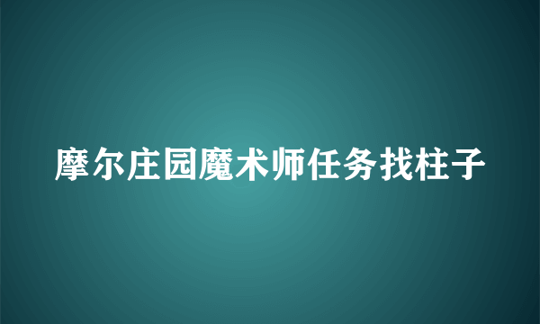 摩尔庄园魔术师任务找柱子