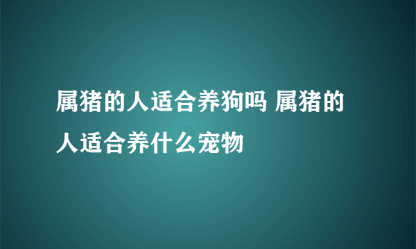 属猪的人适合养狗吗 属猪的人适合养什么宠物