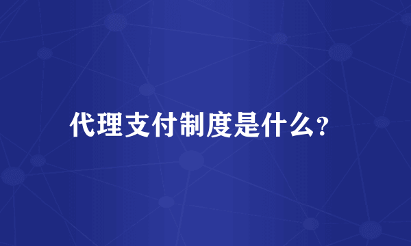 代理支付制度是什么？