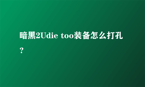 暗黑2Udie too装备怎么打孔？