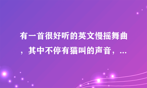 有一首很好听的英文慢摇舞曲，其中不停有猫叫的声音，谁能告诉我这是什么歌？