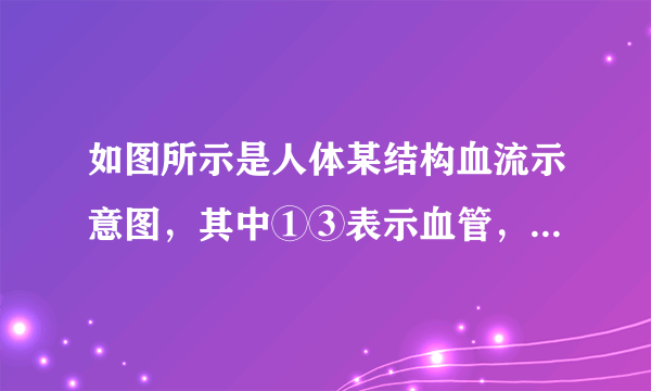 如图所示是人体某结构血流示意图，其中①③表示血管，②表示相应结构。请根据图示分析，下列叙述合理的是（　　）A.若②表示肾小球，则③内流尿素含量较多的静脉血B.若②表示肾小管，则③葡萄糖含量会降低C.若②表示小肠，则饭后③内营养物质含量会增加D.若②表示肺，则①是肺动脉，流鲜红色的动脉血