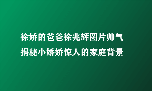 徐娇的爸爸徐兆辉图片帅气 揭秘小娇娇惊人的家庭背景