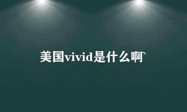 美国vivid是什么啊`