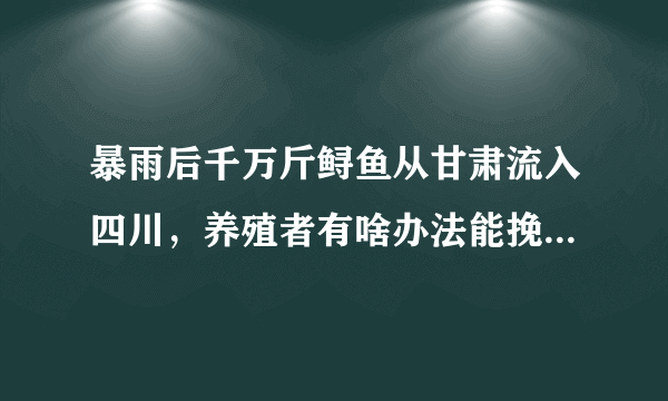 暴雨后千万斤鲟鱼从甘肃流入四川，养殖者有啥办法能挽回损失？