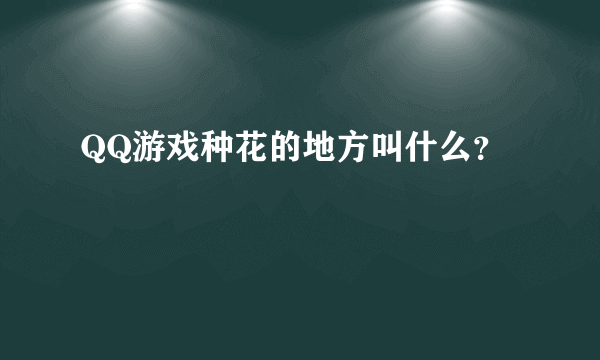 QQ游戏种花的地方叫什么？